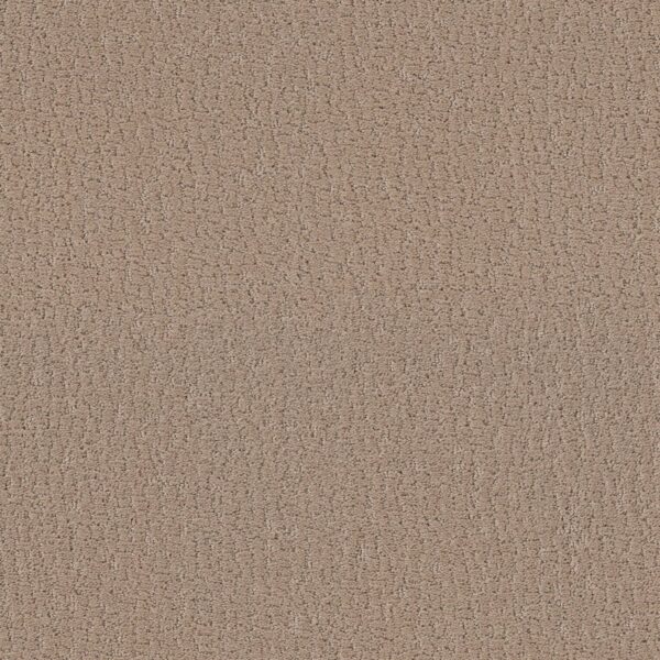 Shaw Floors Carpet Studio Set Worn Path 00700_5E869