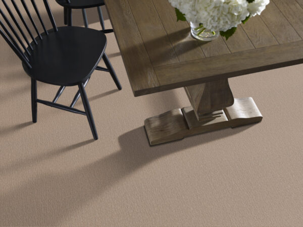 Shaw Floors Carpet Studio Set Worn Path 00700_5E869 - Image 2