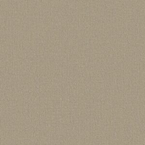 Shaw Floors Carpet Studio Plaza Twine 00100_5E870