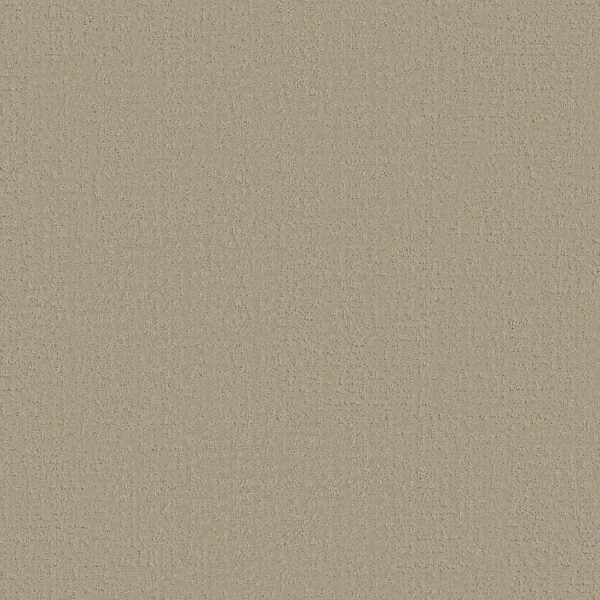 Shaw Floors Carpet Studio Plaza Twine 00100_5E870