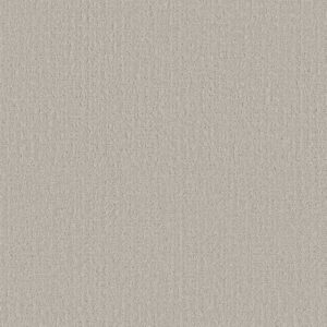 Shaw Floors Carpet Studio Plaza Forest Fog 00107_5E870