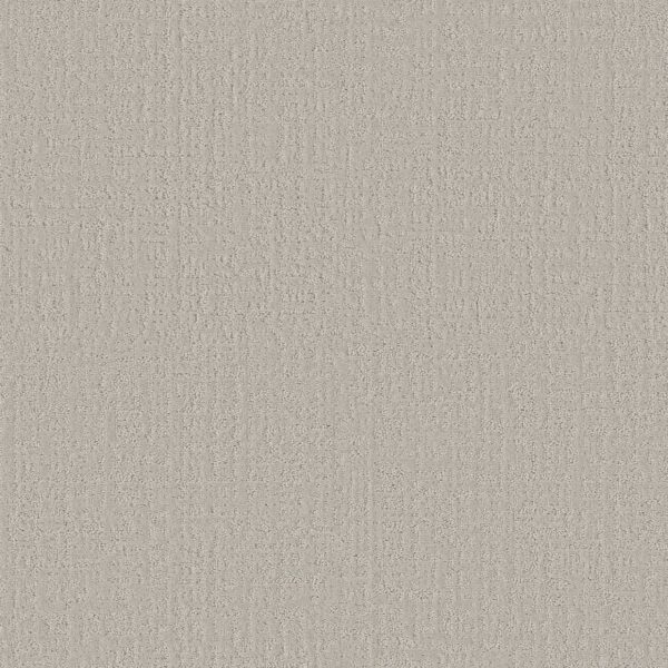 Shaw Floors Carpet Studio Plaza Forest Fog 00107_5E870