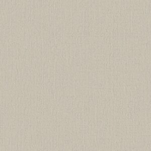 Shaw Floors Carpet Studio Plaza Scotch Mist 00109_5E870