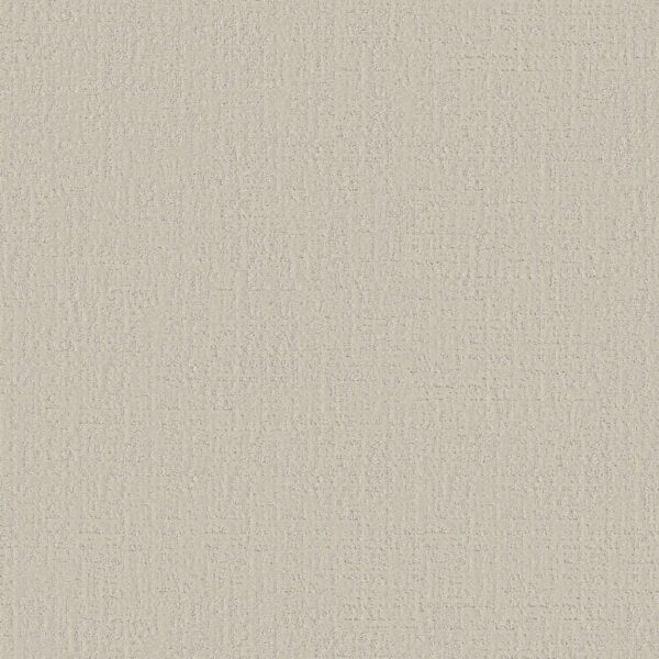 Shaw Floors Carpet Studio Plaza Scotch Mist 00109_5E870