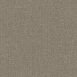 Shaw Floors Carpet Studio Plaza Kindling 00113_5E870