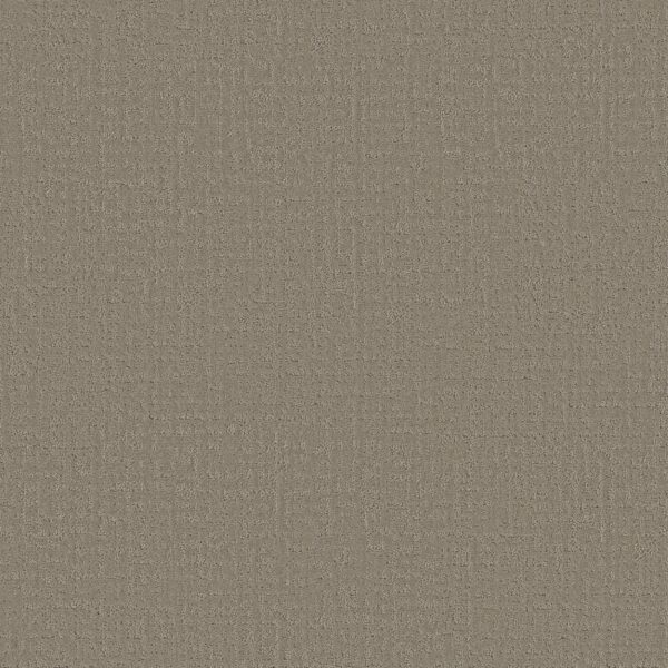 Shaw Floors Carpet Studio Plaza Kindling 00113_5E870