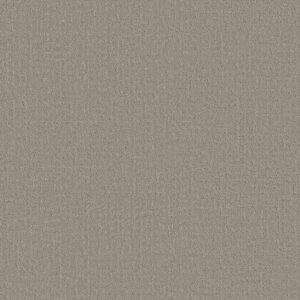 Shaw Floors Carpet Studio Plaza Sandstone 00115_5E870