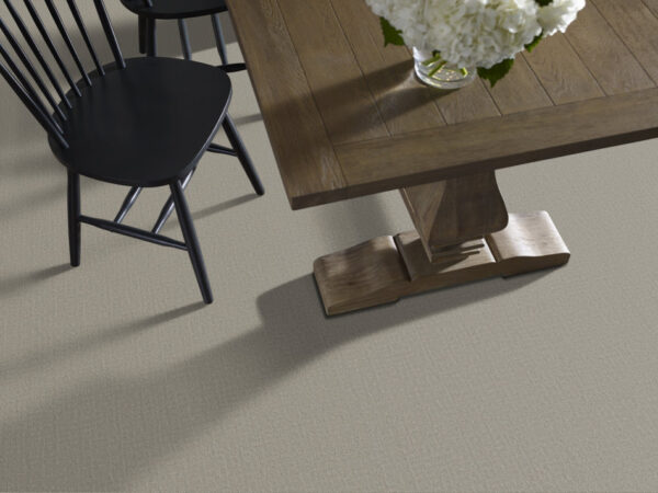 Shaw Floors Carpet Studio Plaza Sandstone 00115_5E870 - Image 2