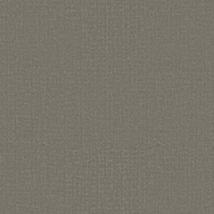 Shaw Floors Carpet Studio Plaza Fallen Acorn 00501_5E870