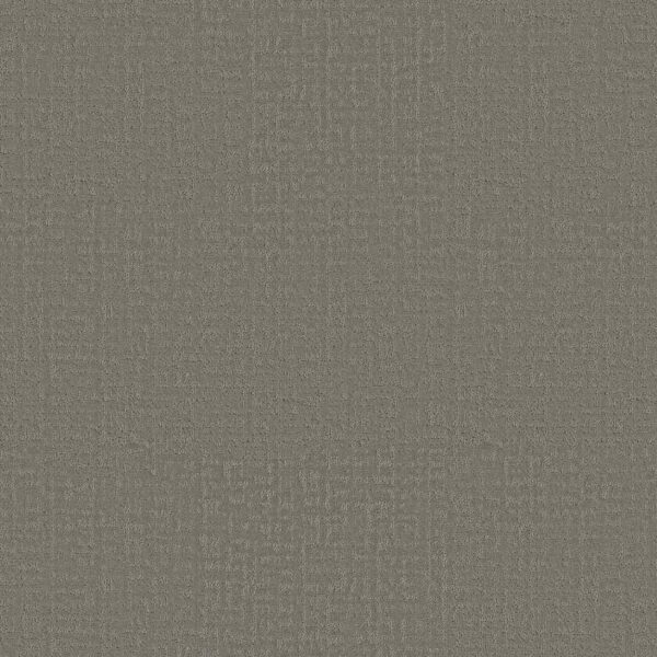 Shaw Floors Carpet Studio Plaza Fallen Acorn 00501_5E870