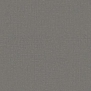 Shaw Floors Carpet Studio Plaza Lunar Haze 00509_5E870