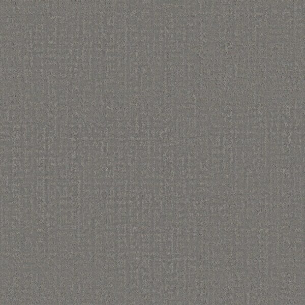 Shaw Floors Carpet Studio Plaza Lunar Haze 00509_5E870