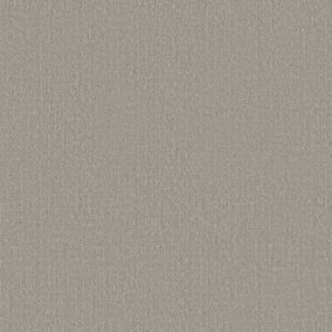 Shaw Floors Carpet Studio Plaza Sterling 00556_5E870