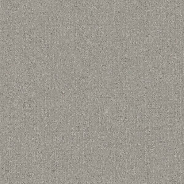 Shaw Floors Carpet Studio Plaza Sterling 00556_5E870