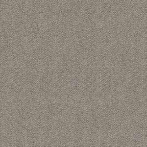 Shaw Floors Carpet Break Free Midtown 00110_5E879