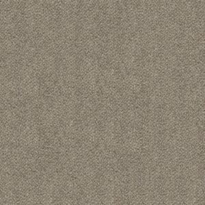 Shaw Floors Carpet Break Free Cottage Cream 00112_5E879