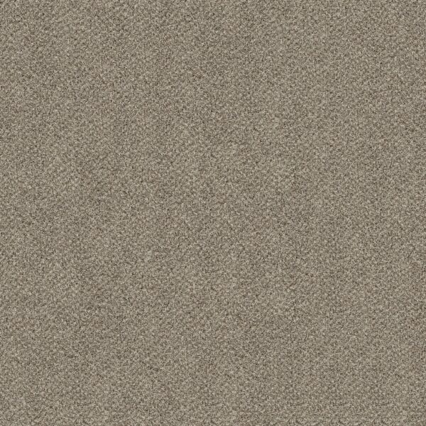 Shaw Floors Carpet Break Free Cottage Cream 00112_5E879