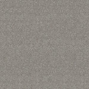Shaw Floors Carpet Break Free Whisper 00120_5E879