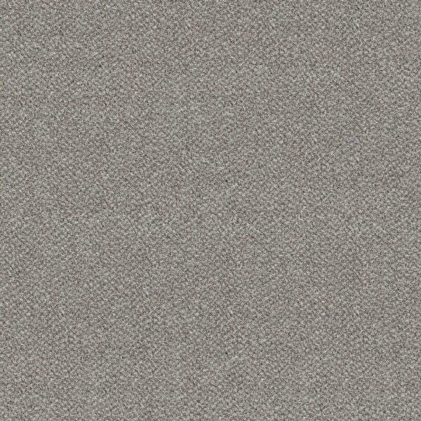 Shaw Floors Carpet Break Free Whisper 00120_5E879