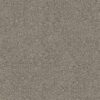 Shaw Floors Carpet Break Free Snowdrift 00130_5E879