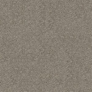 Shaw Floors Carpet Break Free Snowdrift 00130_5E879