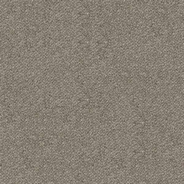 Shaw Floors Carpet Break Free Snowdrift 00130_5E879