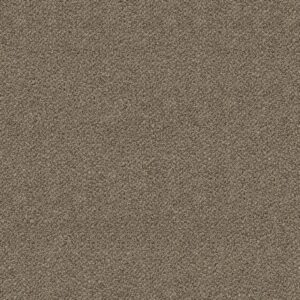 Shaw Floors Carpet Break Free Studio 00131_5E879