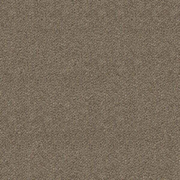 Shaw Floors Carpet Break Free Studio 00131_5E879