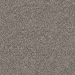 Shaw Floors Carpet Break Free Dove Feather 00140_5E879