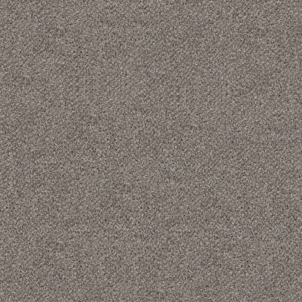 Shaw Floors Carpet Break Free Dove Feather 00140_5E879