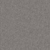 Shaw Floors Carpet Break Free Stonegate 00141_5E879