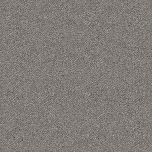 Shaw Floors Carpet Break Free Stonegate 00141_5E879