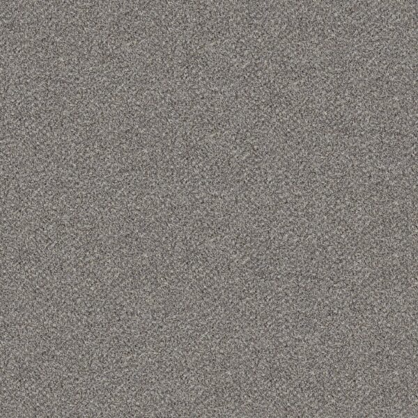 Shaw Floors Carpet Break Free Stonegate 00141_5E879