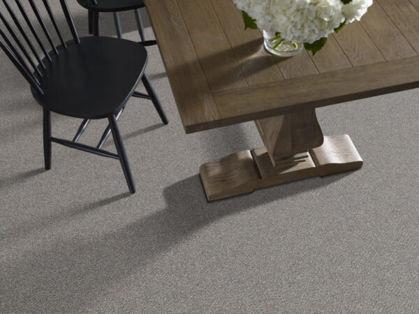 Shaw Floors Carpet Break Free Stonegate 00141_5E879 - Image 2