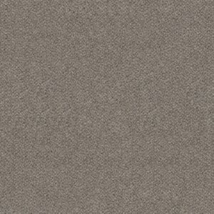 Shaw Floors Carpet Break Free Lunar 00510_5E879