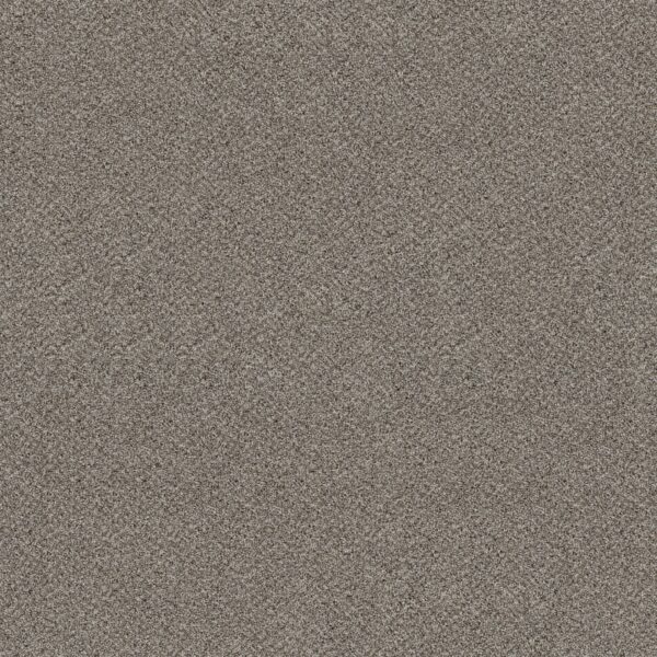 Shaw Floors Carpet Break Free Lunar 00510_5E879