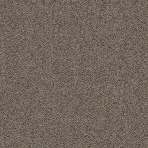 Shaw Floors Carpet Break Free Incognito 00531_5E879