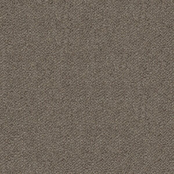 Shaw Floors Carpet Break Free Incognito 00531_5E879