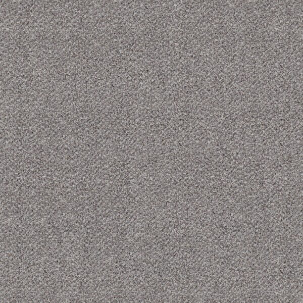 Shaw Floors Carpet Break Free Soft Pewter 00545_5E879