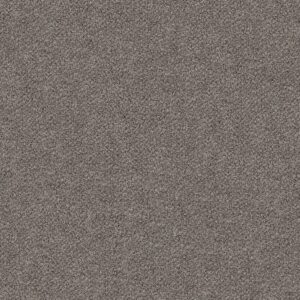 Shaw Floors Carpet Break Free Oyster 00546_5E879