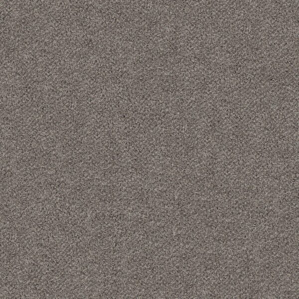 Shaw Floors Carpet Break Free Oyster 00546_5E879