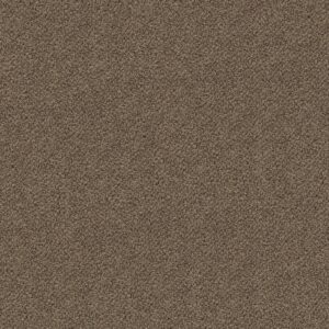 Shaw Floors Carpet Break Free Basketry 00731_5E879