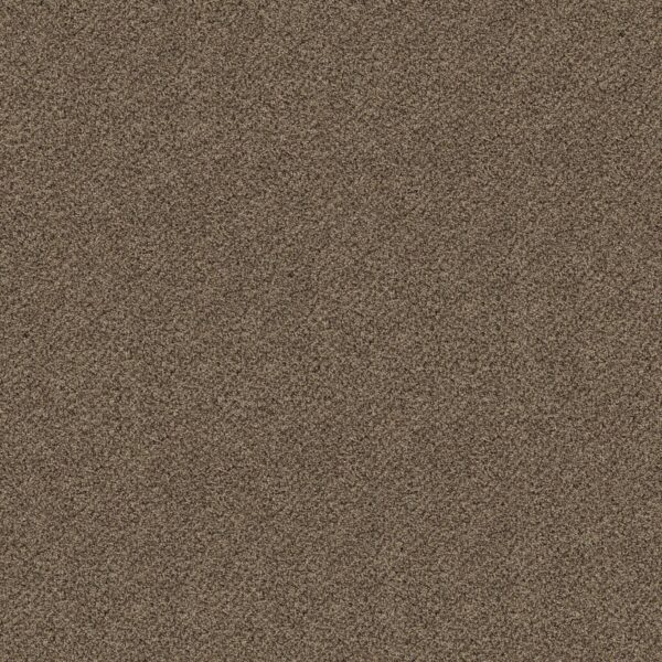 Shaw Floors Carpet Break Free Basketry 00731_5E879