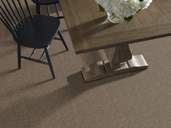 Shaw Floors Carpet Break Free Basketry 00731_5E879 - Image 2