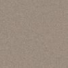 Shaw Floors Carpet Pure Affection S On The Edge 00104_5E889
