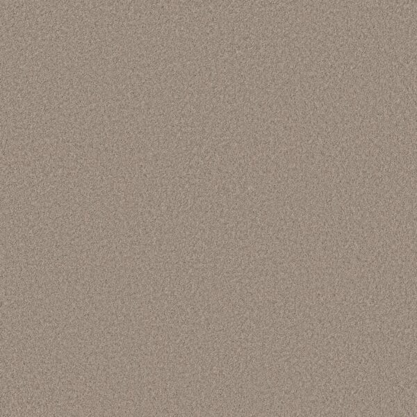 Shaw Floors Carpet Pure Affection S On The Edge 00104_5E889
