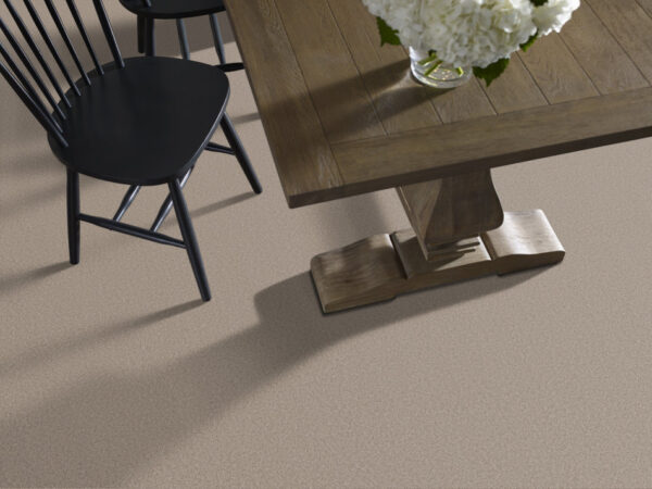 Shaw Floors Carpet Pure Affection S On The Edge 00104_5E889 - Image 2