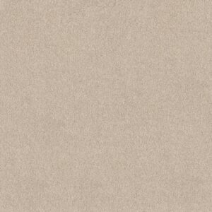 Shaw Floors Carpet Pure Affection T Dune View 00120_5E892