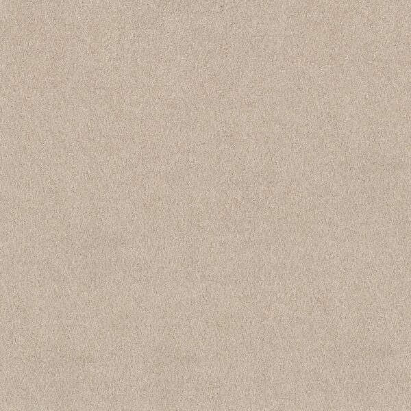 Shaw Floors Carpet Pure Affection T Dune View 00120_5E892