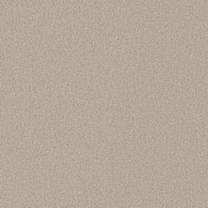 Shaw Floors Carpet Pure Affection T Beige Mist 00121_5E892